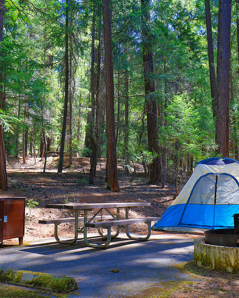 Salt Creek Dispersed Area - Lakehead, California - glamping.directory