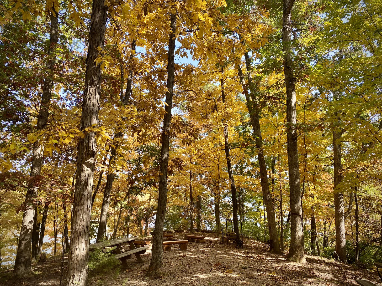Hidden Ridge - Girard, Illinois - glamping.directory