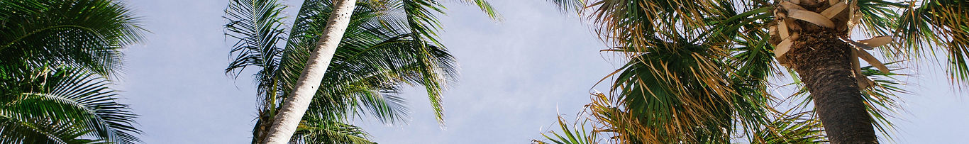 Raintree RV Resort - North Fort Myers, Florida - glamping.directory