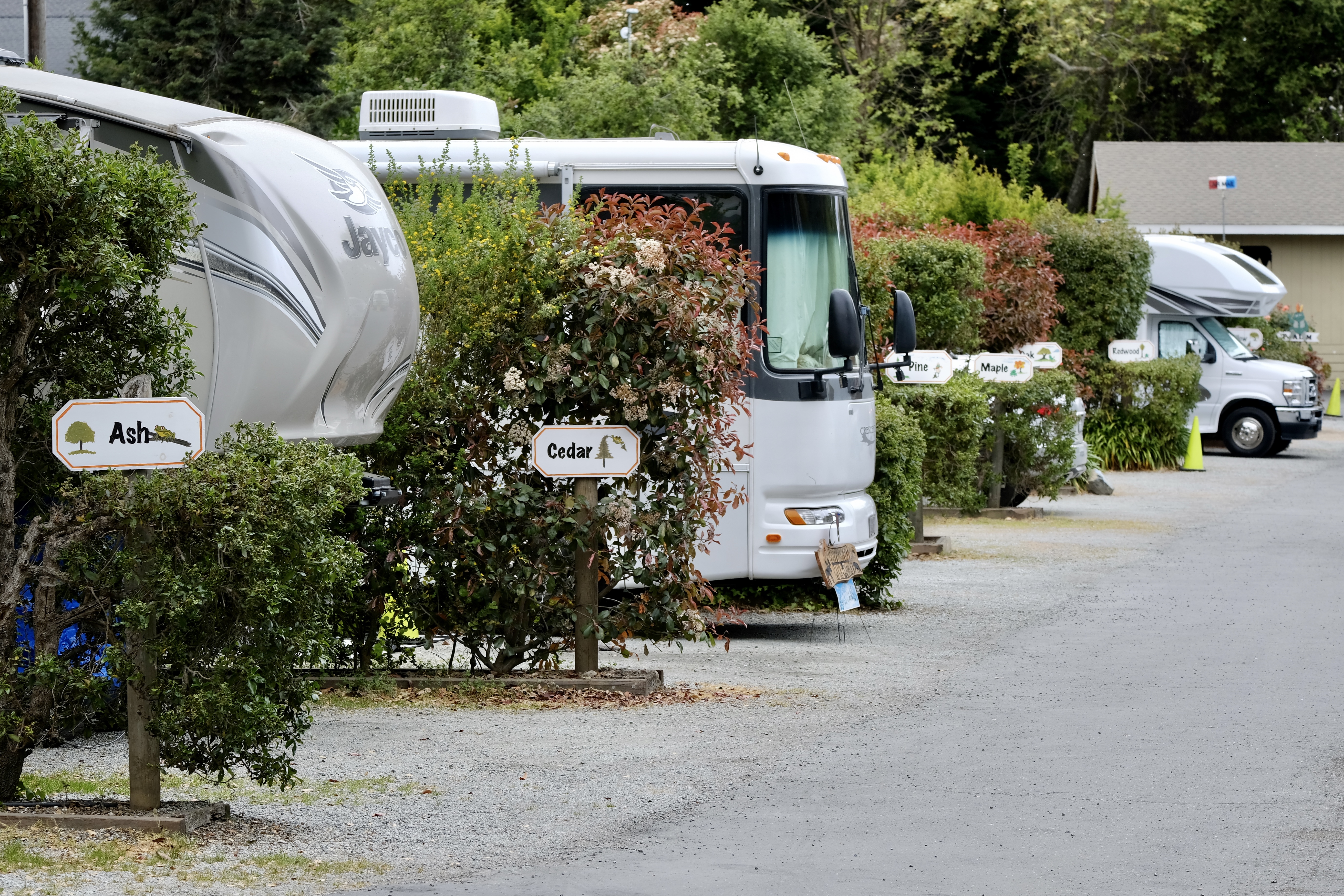 Carmel By the River RV Park - Carmel, California - glamping.directory