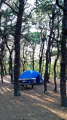 North of Highland Camping Area - North Truro, Massachusetts - glamping.directory