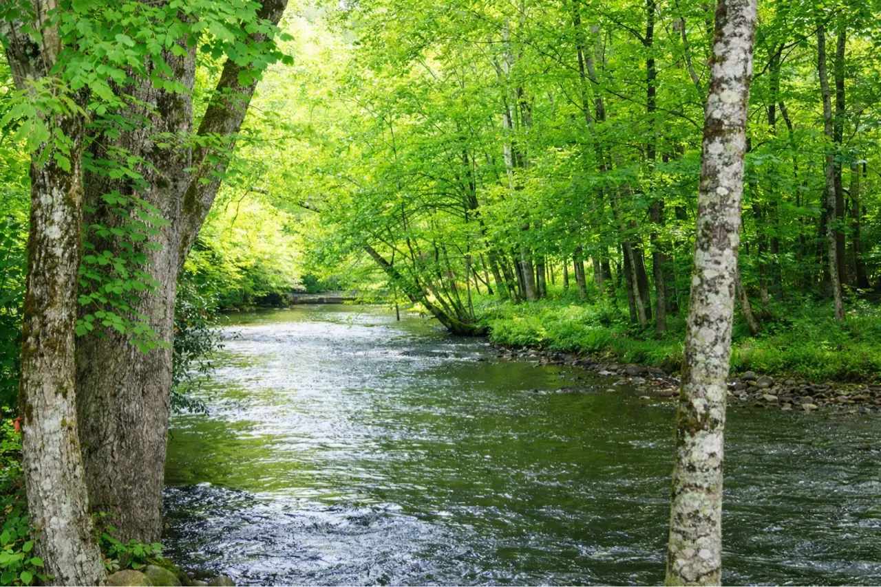 Creekside RV Park - Pigeon Forge, Tennessee - glamping.directory