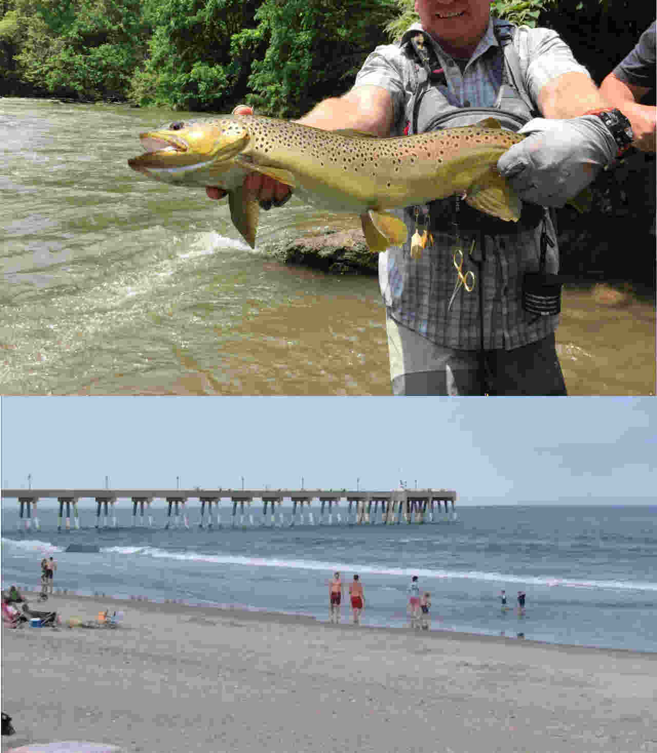 Camp Stonefly - Johnson City, Tennessee - glamping.directory