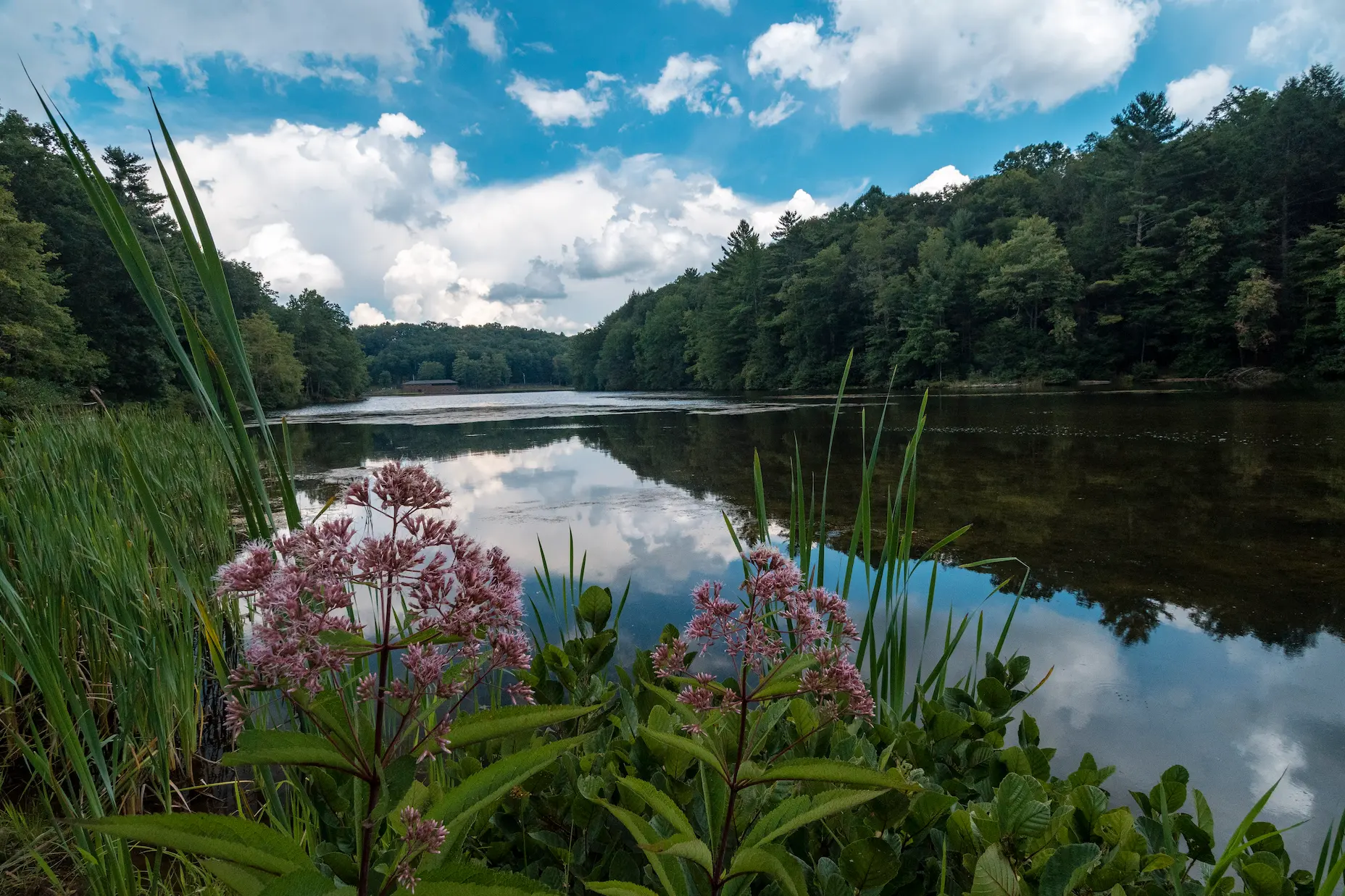 Little Beaver State Park - Beaver, West Virginia - glamping.directory