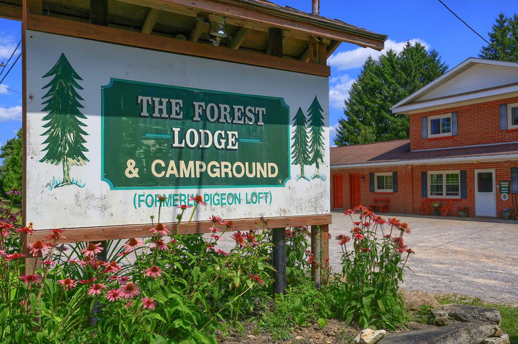 The Forest Lodge & Campground - Marienville, Pennsylvania - glamping.directory