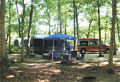 Winding River Campground - Mays Landing, New Jersey - glamping.directory
