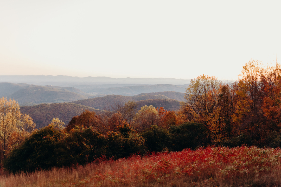 Lonesome Pine Cabins - Fancy Gap, Virginia - glamping.directory