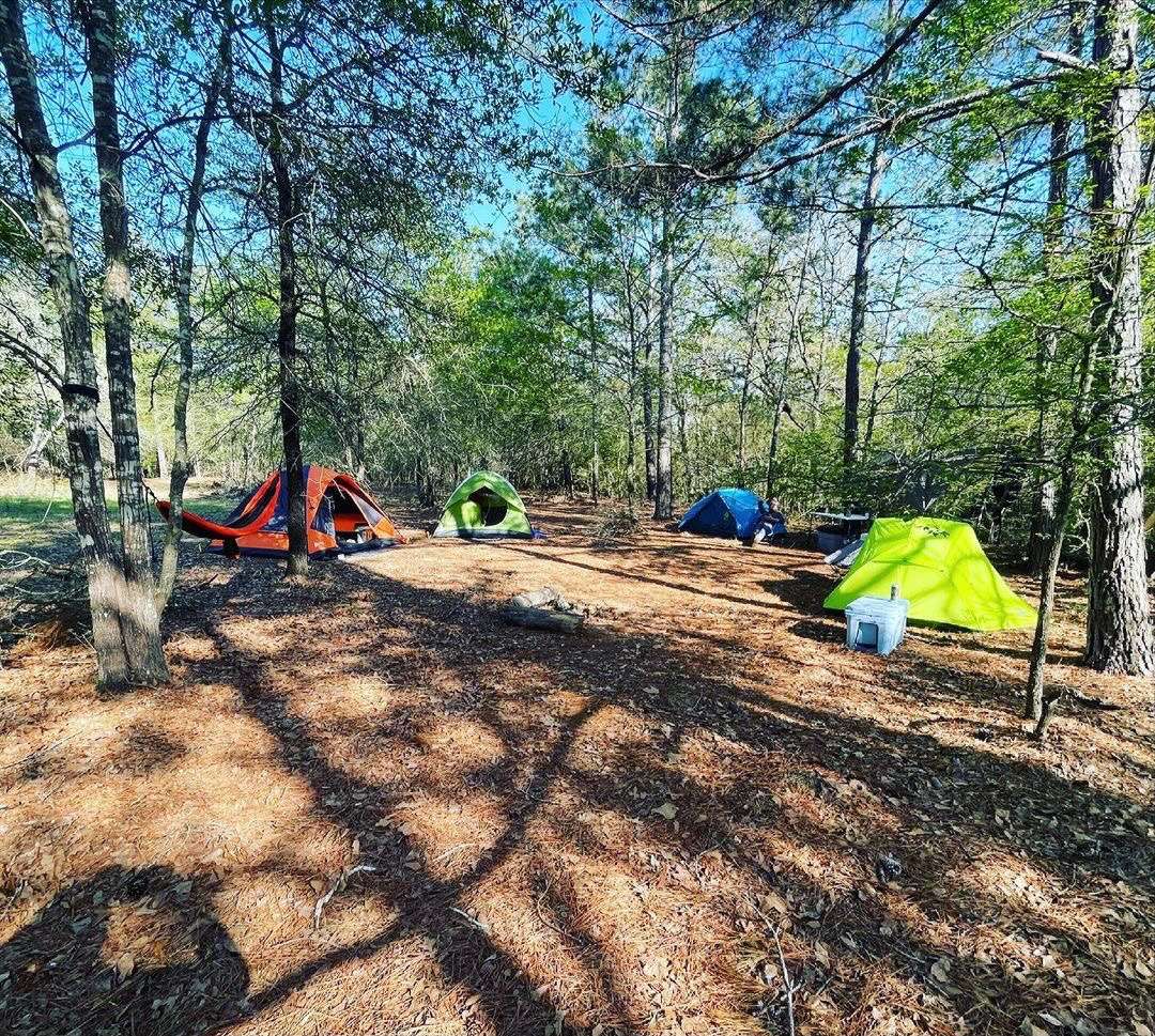 Briers Ranch Primitive Camping - Anderson, Texas - glamping.directory