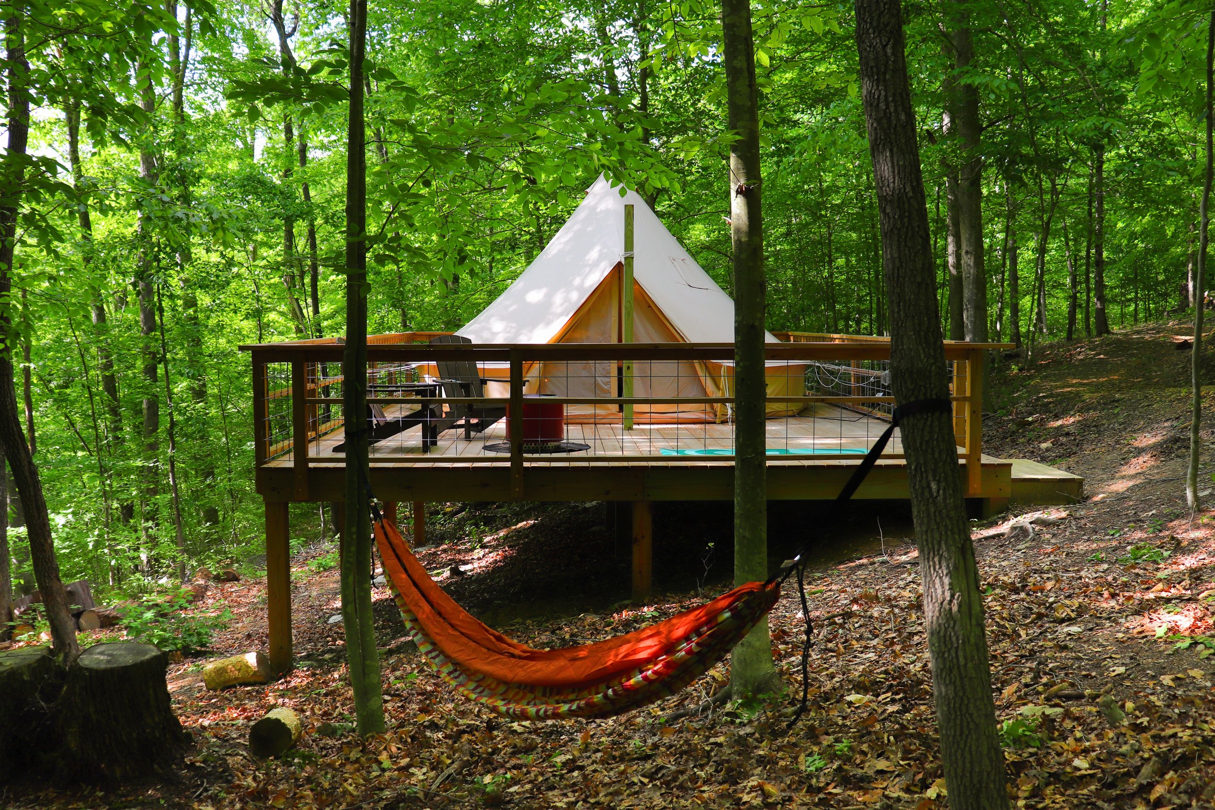 The Hill - New River Gorge - Scarbro, West Virginia - glamping.directory