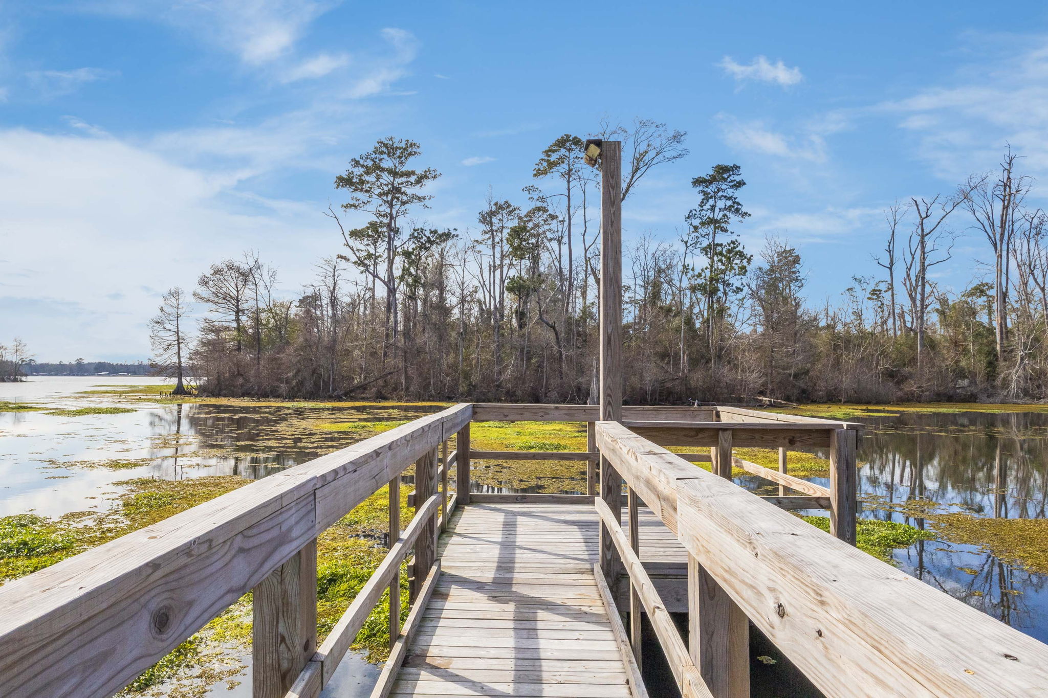 Bundick Lake Retreat and RV - DeRidder, Louisiana - glamping.directory