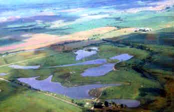 Cabin Fever Campground and Hunt Club - Victoria, Illinois - glamping.directory