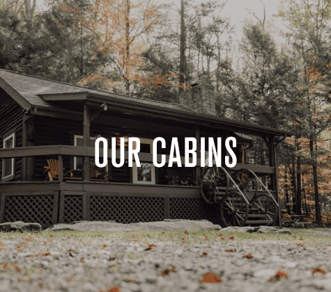 Evergreen Cabins - Cook Forest - Cooksburg, Pennsylvania - glamping.directory