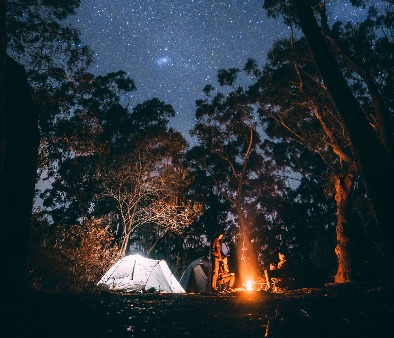 Mystic Woods - Warm Springs, Georgia - glamping.directory