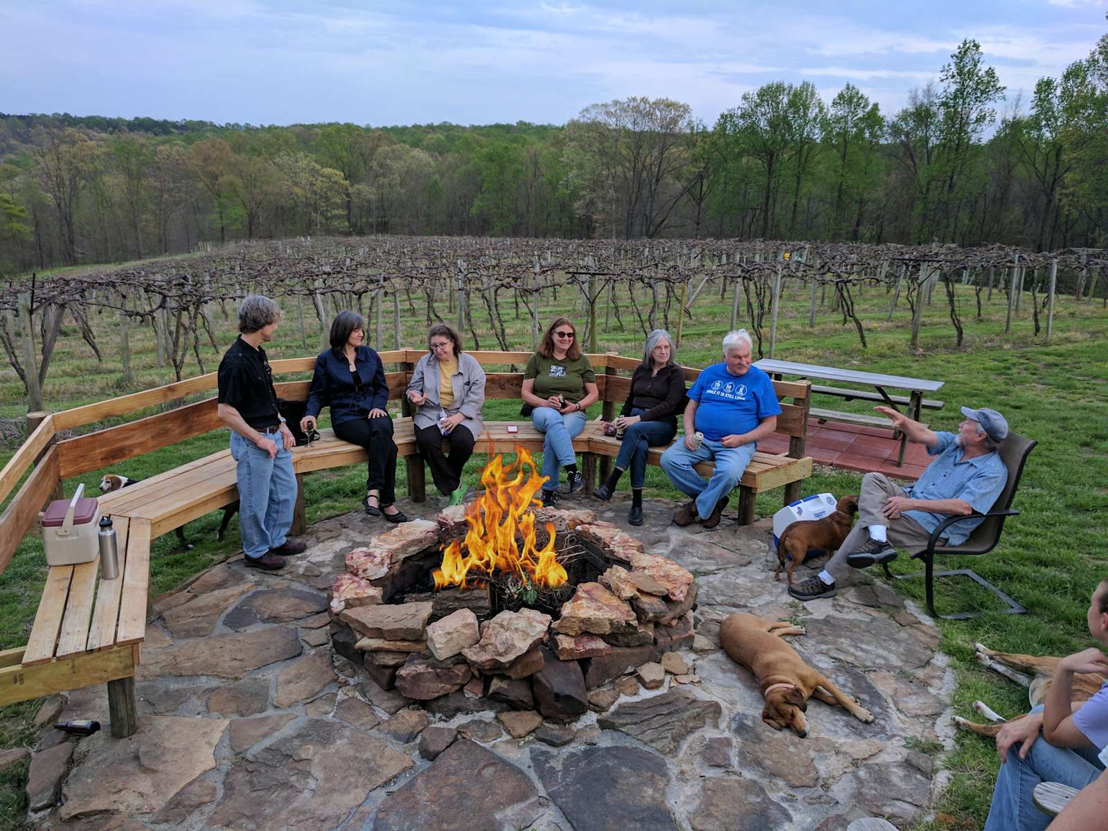 Wine Trail Wilderness - Hipcamp - Pomona, Illinois - glamping.directory