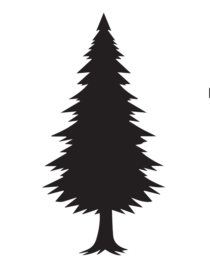 Pine Forest Vacation Cabins - Necedah, Wisconsin - glamping.directory