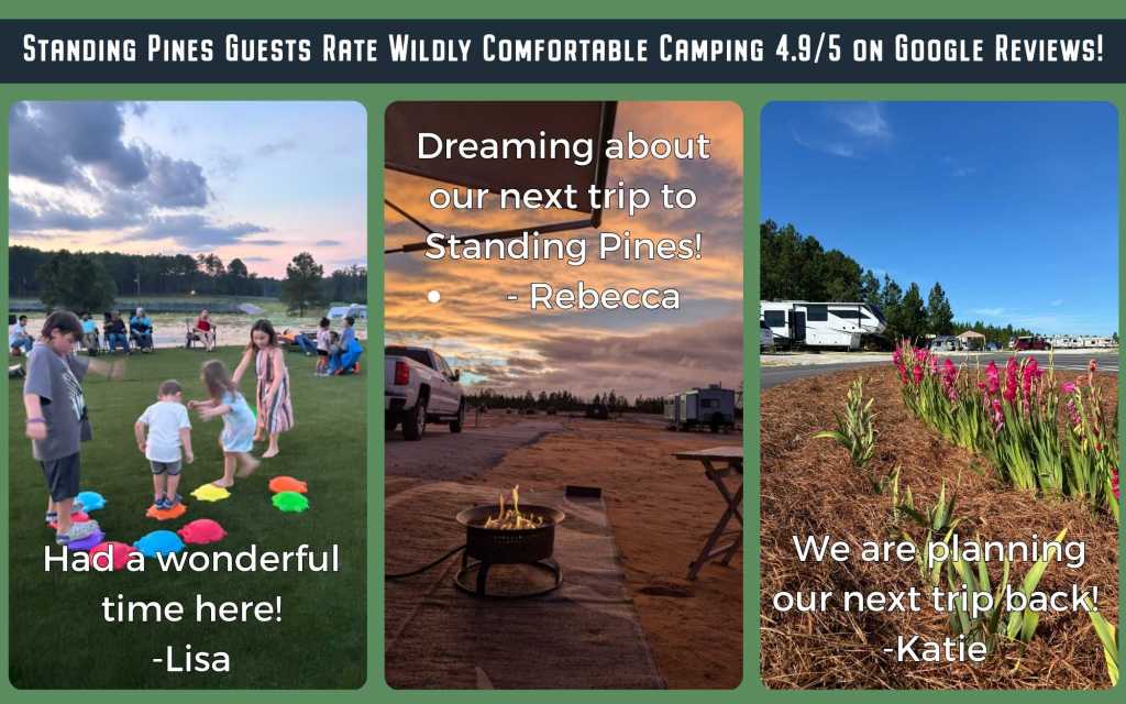 Standing Pines Campground & RV Resort - Hartsville, South Carolina - glamping.directory