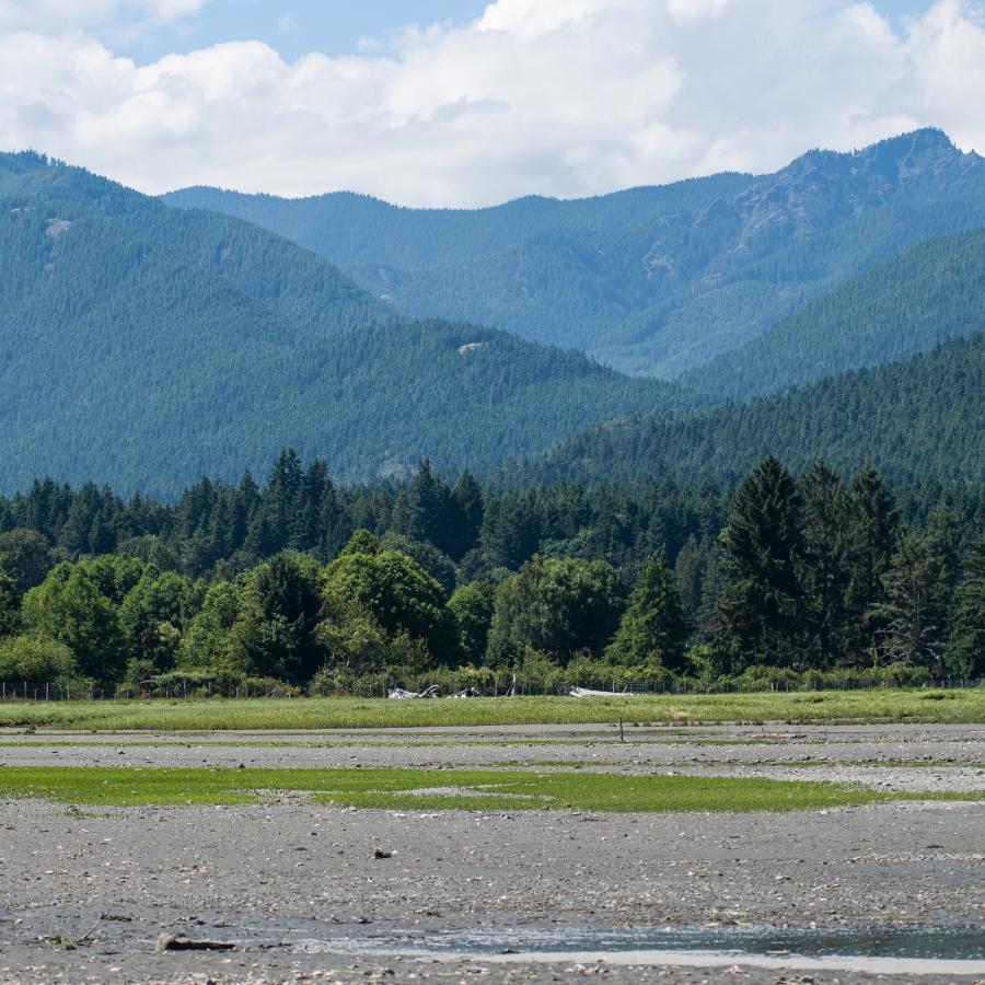 Dosewallips State Park - Brinnon, Washington - glamping.directory