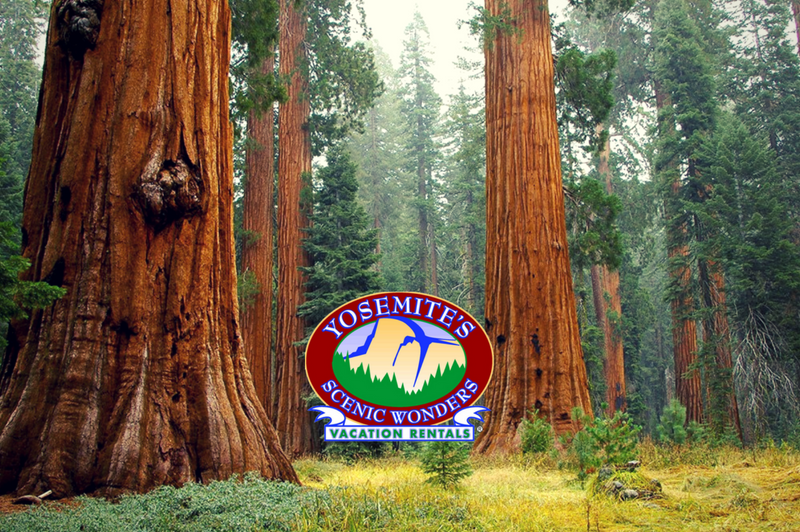 Scenic Wonders Lodging, Cabins and Rentals for Yosemite - TUOLUMNE MEADOWS, California - glamping.directory