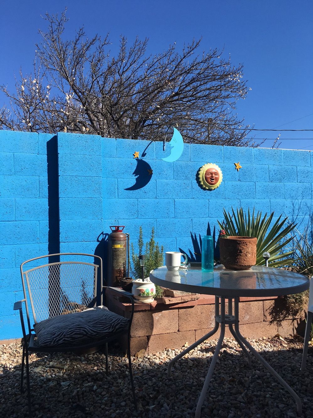Mother Bosque Garden - Albuquerque, New Mexico - glamping.directory