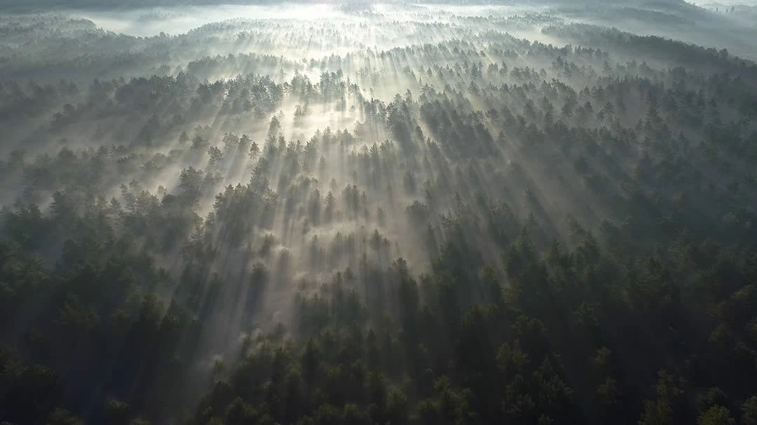 3feather Sanctuary - Marshall, North Carolina - glamping.directory