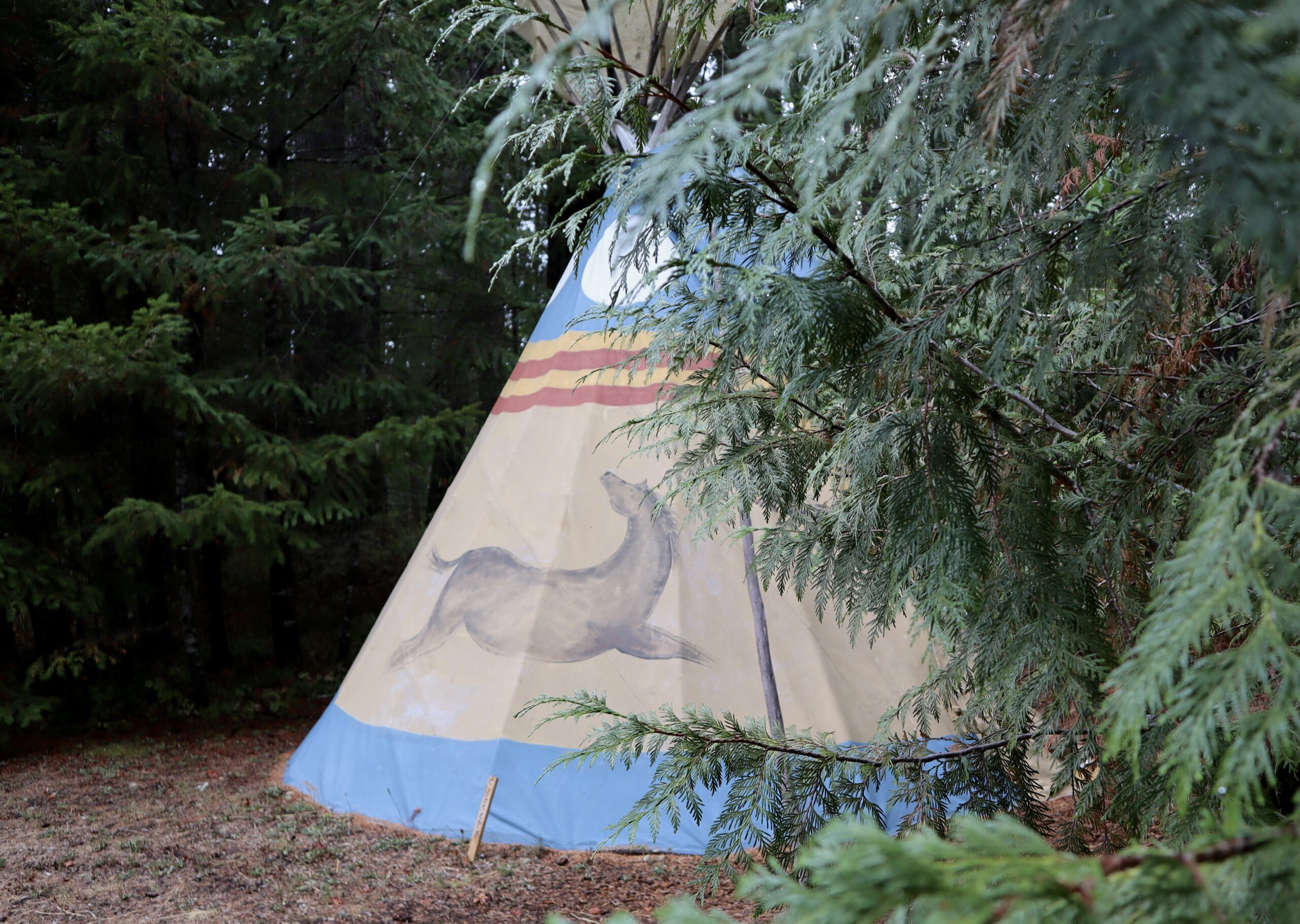 Tipi Village Retreat - Marcola, Oregon - glamping.directory