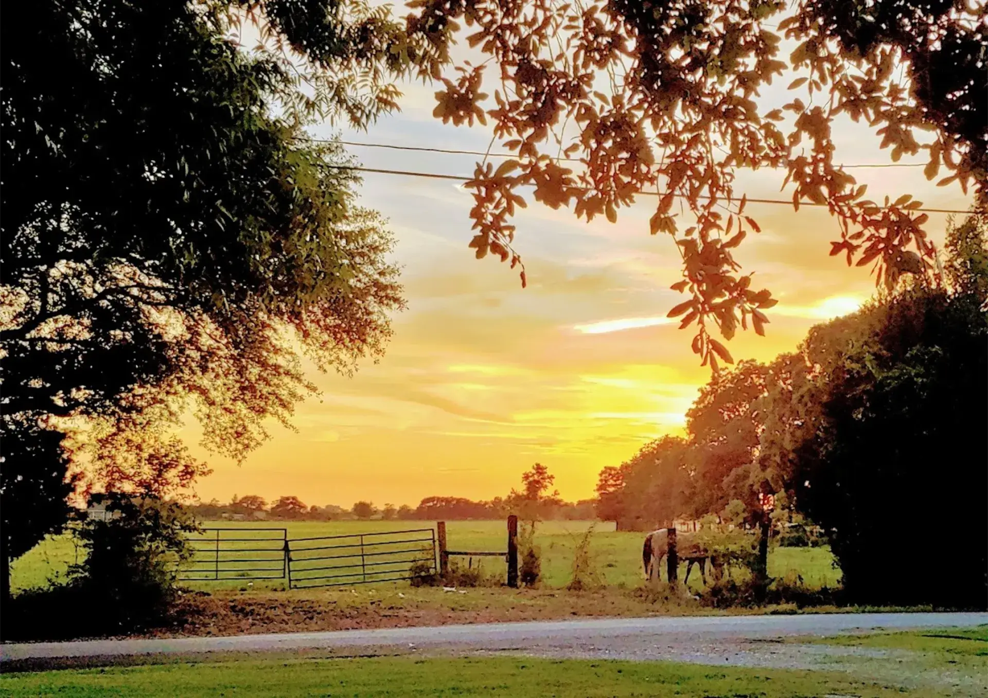 Audubon Acres RV Park - Abbeville, Louisiana - glamping.directory