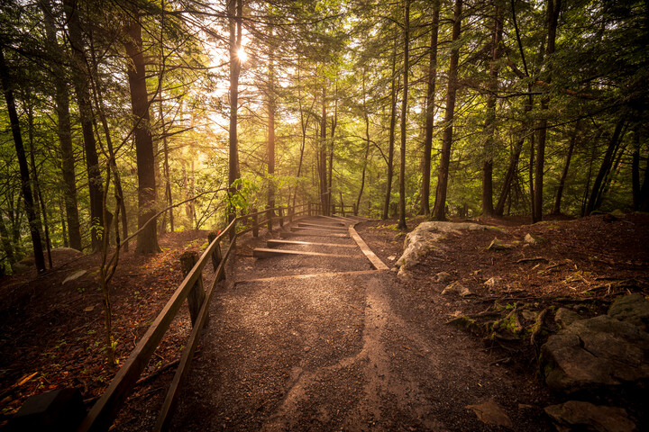 Meador Campground - White Oak, West Virginia - glamping.directory