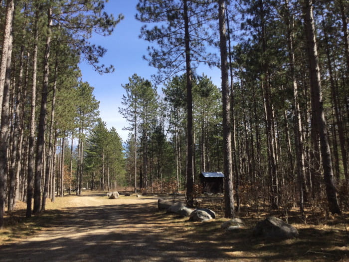 Carrieville State Forest Campground - Luther, Michigan - glamping.directory