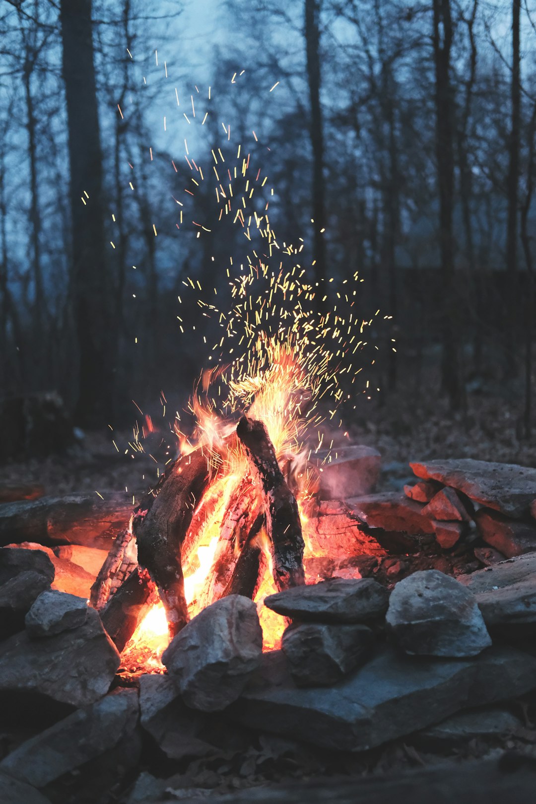 Magic River Campground - Long Beach, Mississippi - glamping.directory