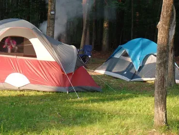 SoHi Campground - Accord, New York - glamping.directory