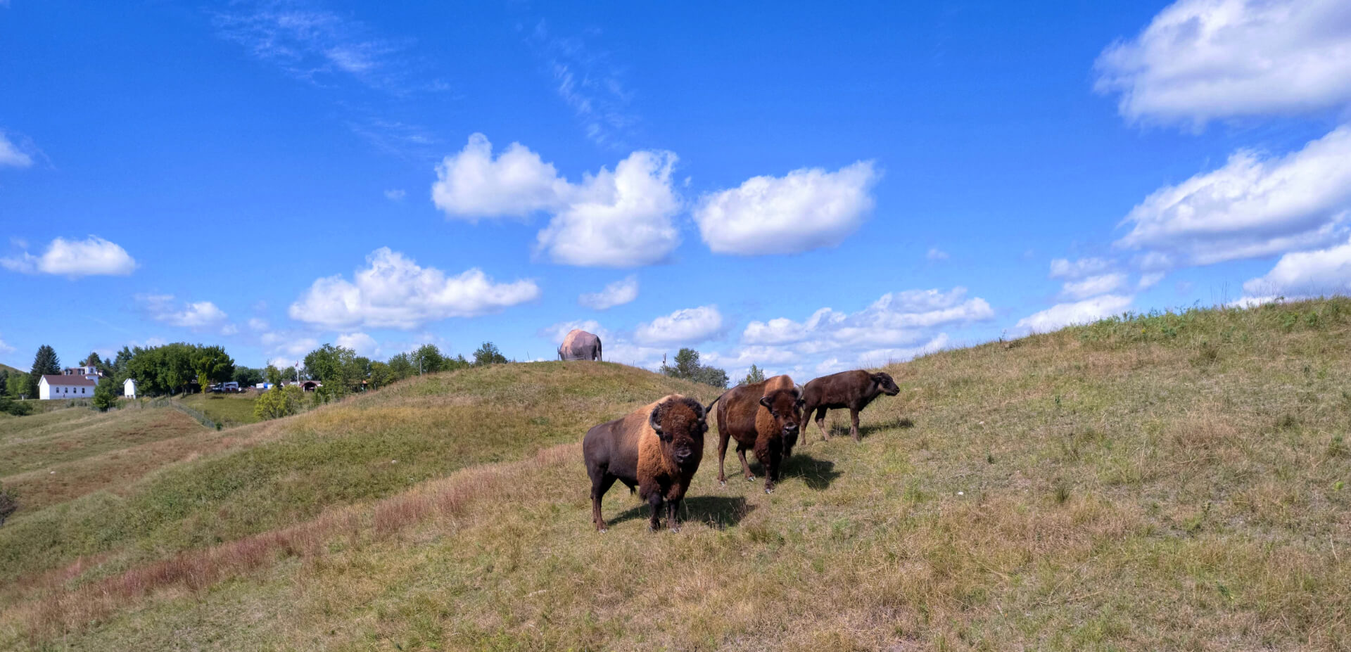 Frontier Fort RV Park - Jamestown, North Dakota - glamping.directory