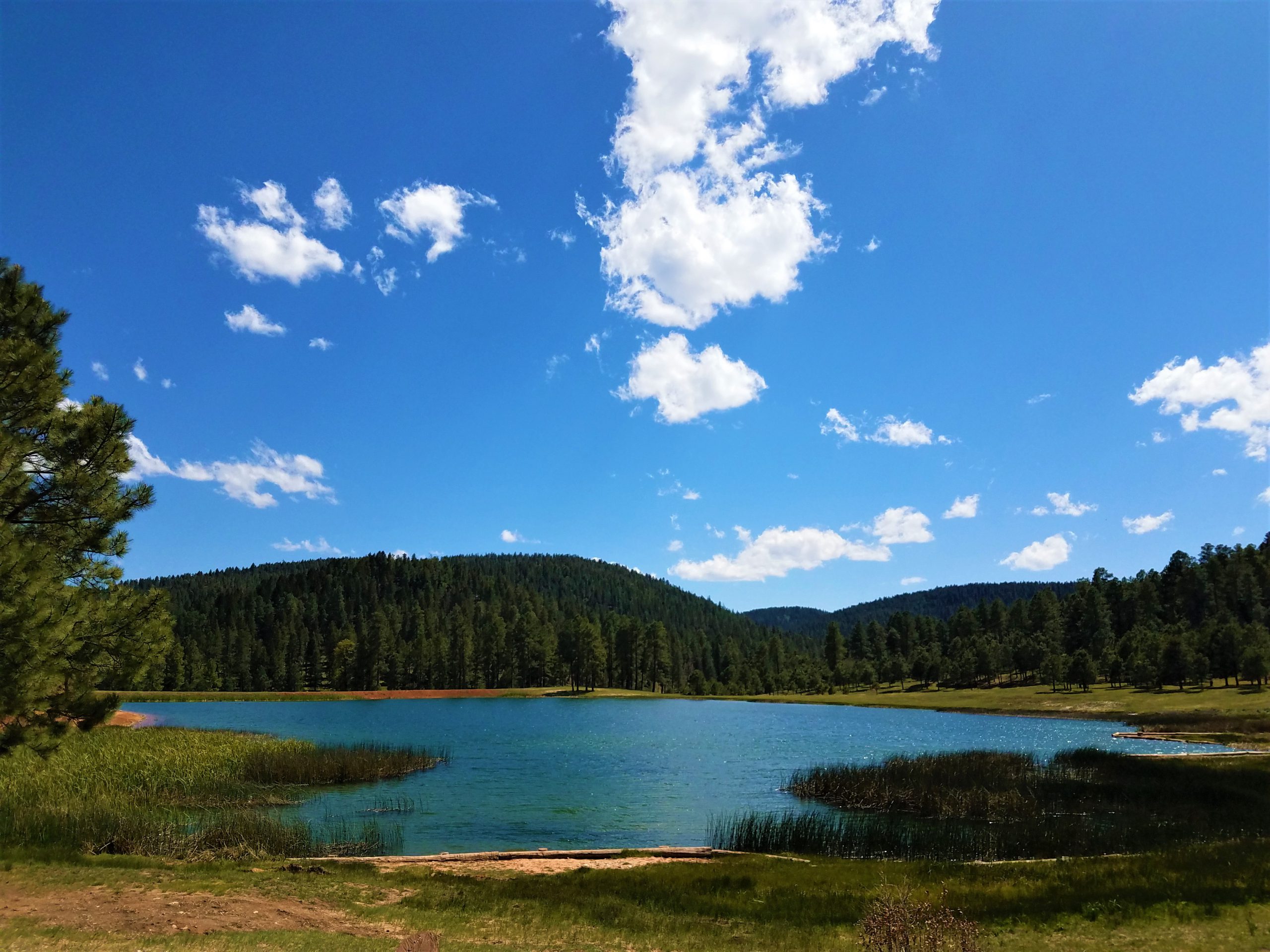Silver Lake Campground - Mescalero, New Mexico - glamping.directory