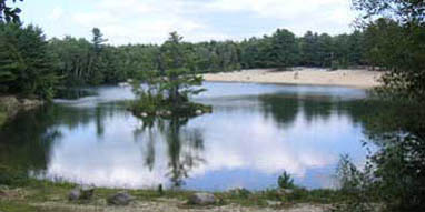 White's Beach & Campground, Inc. - Brunswick, Maine - glamping.directory