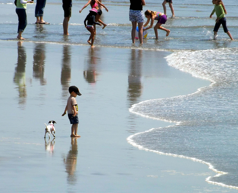 Pillar Point RV Park - El Granada, California - glamping.directory