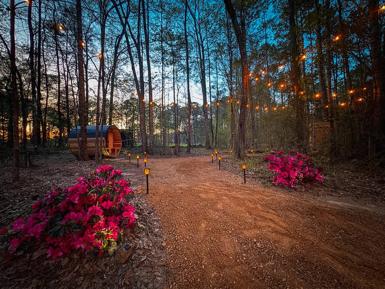 Kisatchie Vista Glamping - Glenmora, Louisiana - glamping.directory