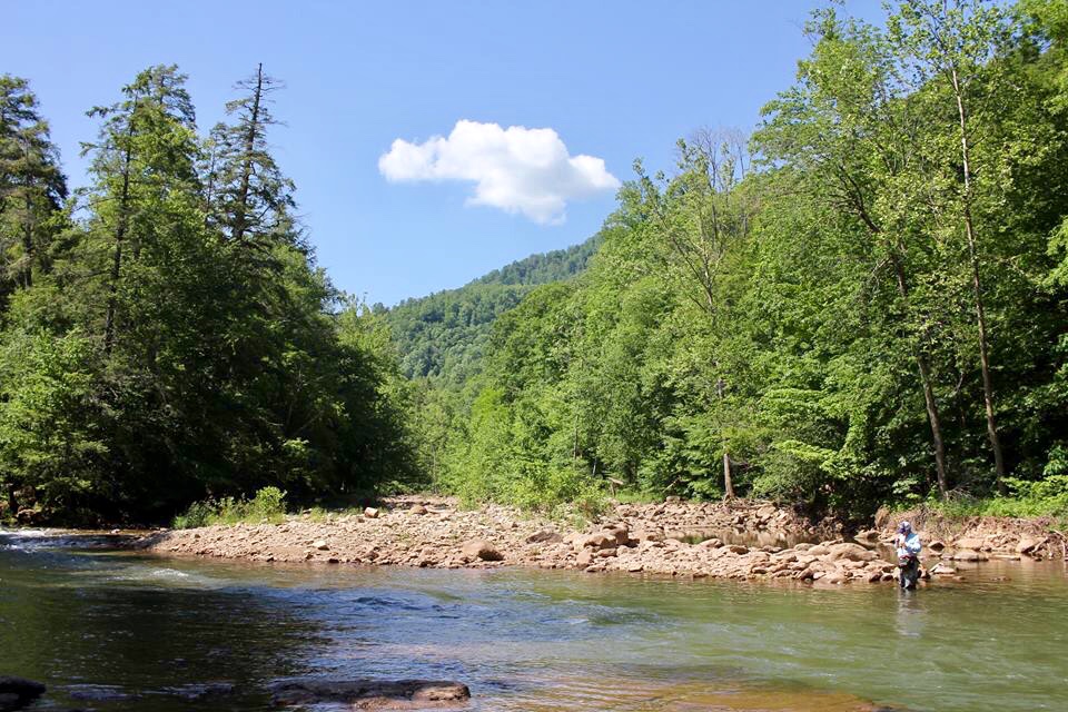 Elk Springs Resort & Fly Shop - Monterville, West Virginia - glamping.directory