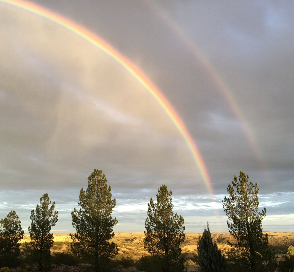 Desert View RV Park - Elephant Butte, New Mexico - glamping.directory