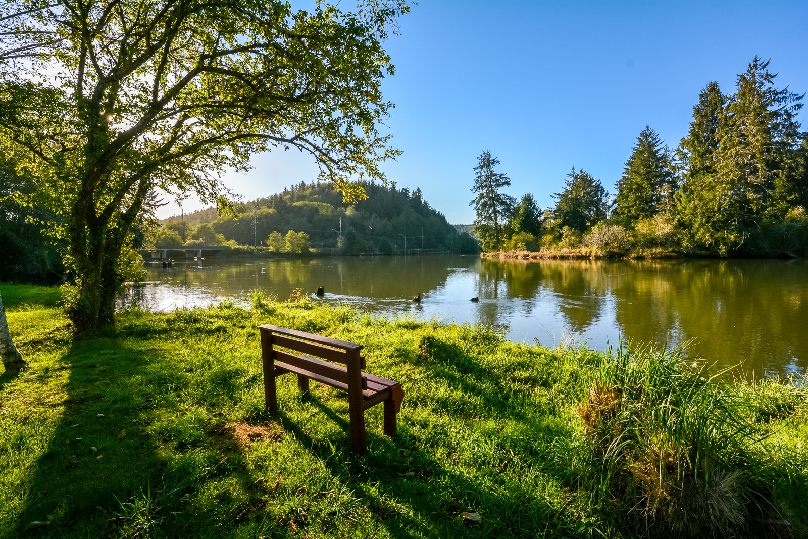 Hoquiam River RV Park - Hoquiam, Washington - glamping.directory
