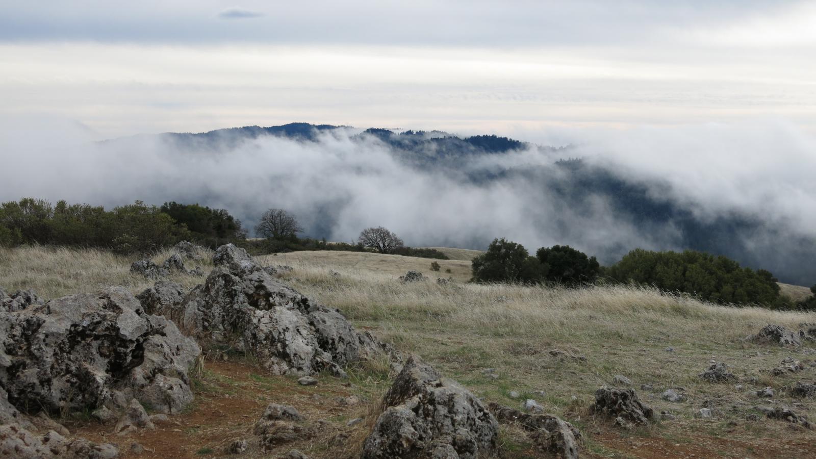 Black Mountain Backpack Camp - Los Altos, California - glamping.directory