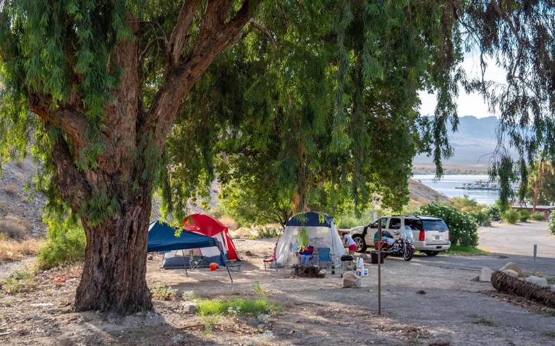 Cottonwood Cove Lower Campground - Searchlight, Nevada - glamping.directory