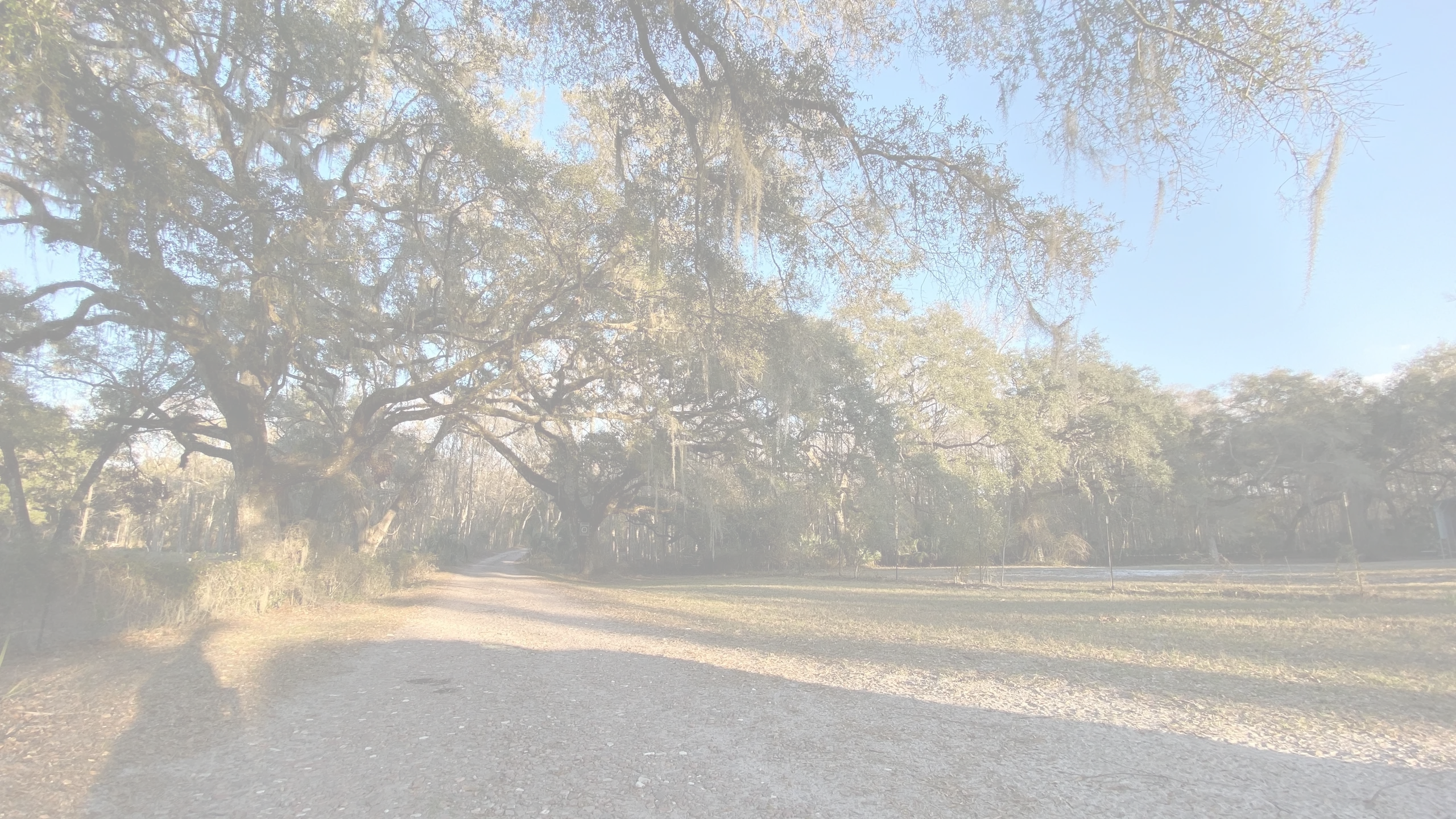Lucky U Ranch by appointment only. Saturday 11 AM ranch tour, $20 per vehicle, reservation required - Bushnell, Florida - glamping.directory
