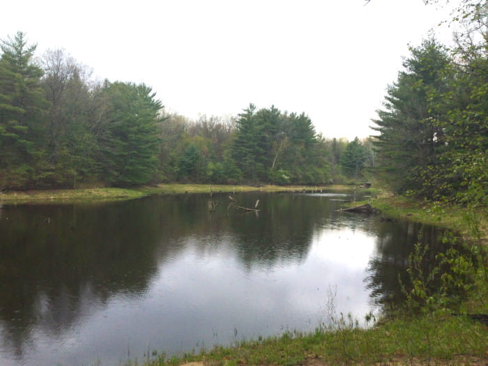 Black Creek State Forest Campground - Sanford, Michigan - glamping.directory