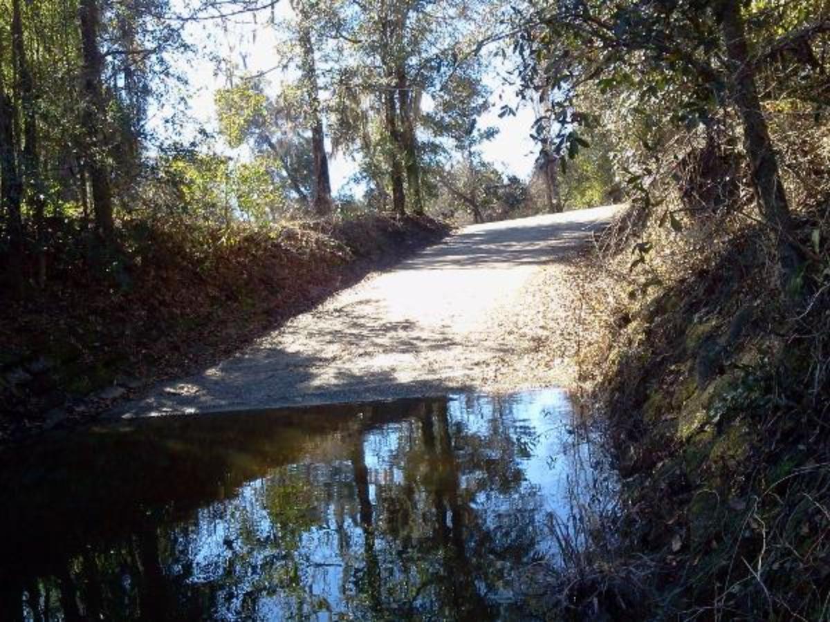 Mystic Springs Free Campground - Walnut Hill, Florida - glamping.directory