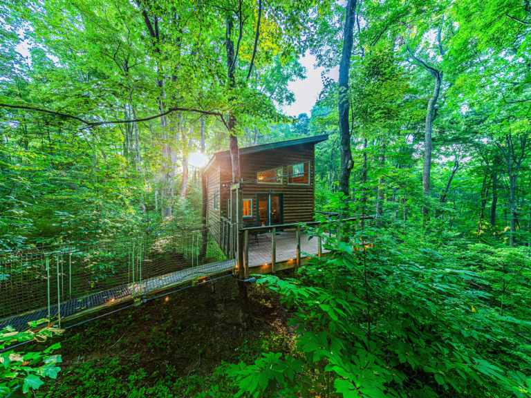 Among The Trees Lodging - Rockbridge, Ohio - glamping.directory