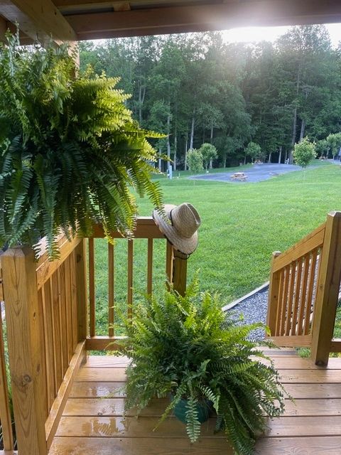 Foxfire of Murphy RV Park - Murphy, North Carolina - glamping.directory