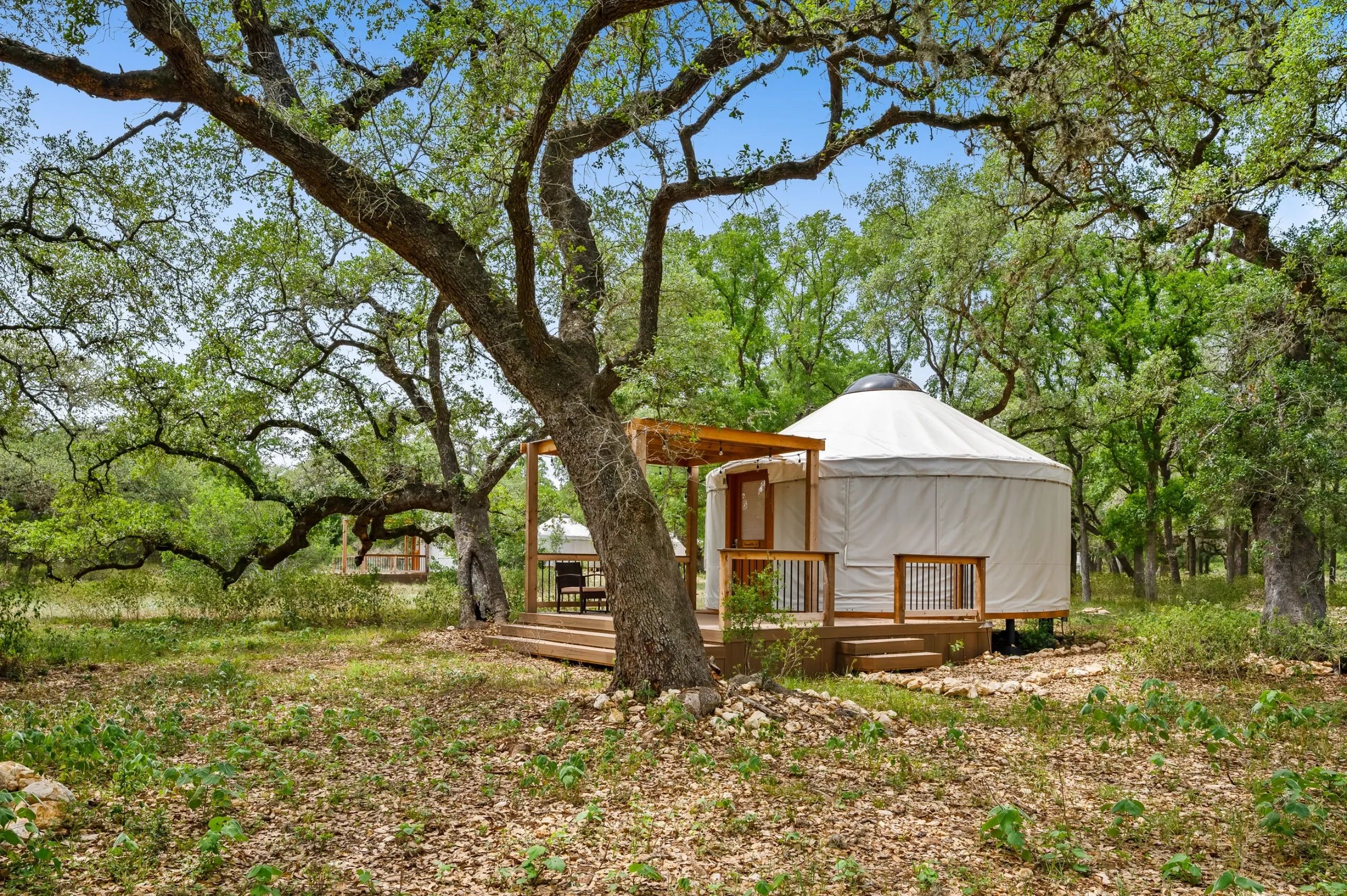 Texas Yurt Haus - New Braunfels, Texas - glamping.directory