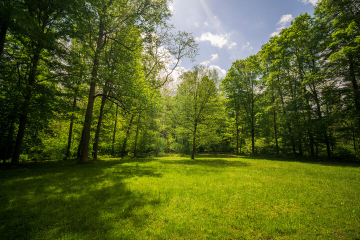 Greenbrier State Forest Cabins - Caldwell, West Virginia - glamping.directory