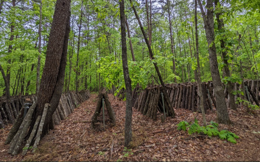 Phantom Hill Forest Farm & Camp - Louisa, Virginia - glamping.directory