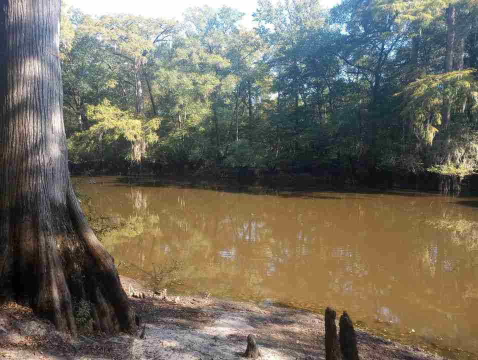 Coleman Lake Campground - Midville, Georgia - glamping.directory