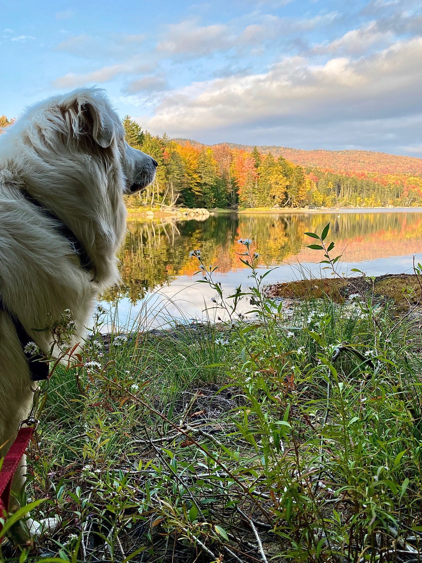 South Arm Campground - Andover, Maine - glamping.directory